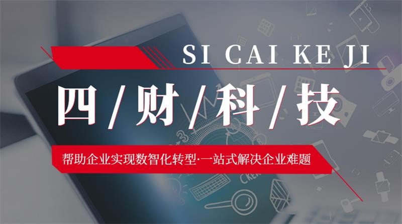 成都四財(cái)科技，助力企業(yè)實(shí)現(xiàn)數(shù)智化轉(zhuǎn)型